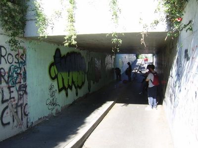 MISN: MY HALL OF FAME